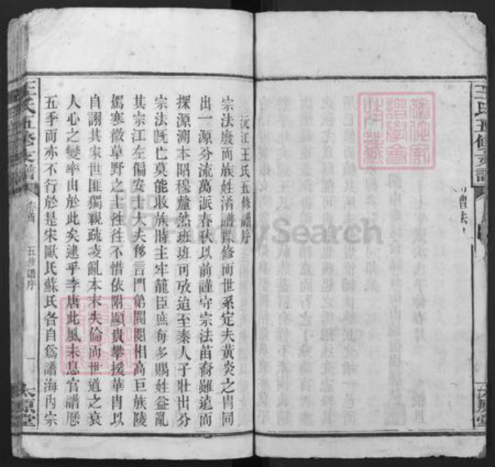 湖南省衡阳市衡阳县樟木乡王氏太原堂族谱-王氏五修支谱.pdf电子版插图3