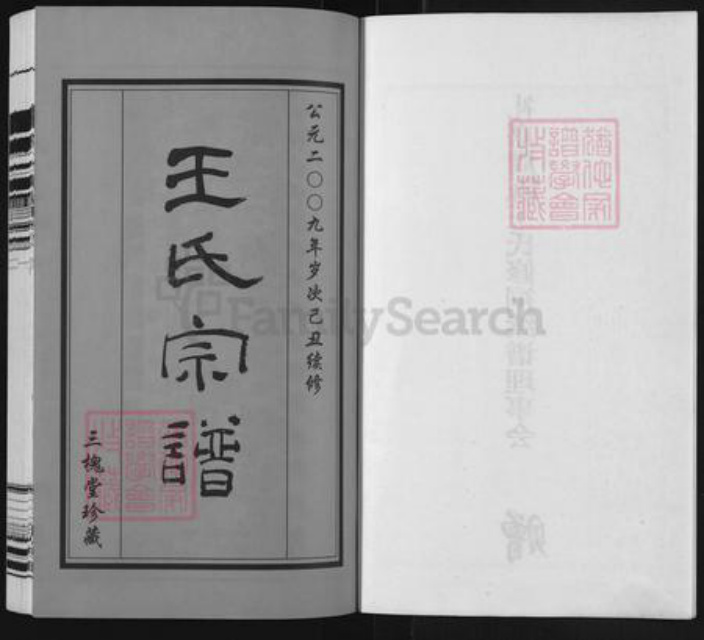 江苏省常州市武进县礼嘉镇王氏三槐堂族谱-中沙周陈王氏族谱.pdf电子版插图2