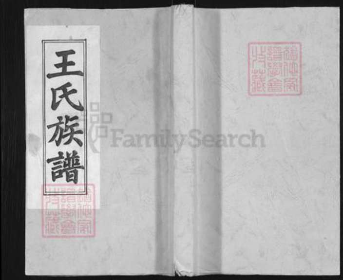 安徽省安庆市太湖县王氏族谱-王氏族谱.pdf电子版插图