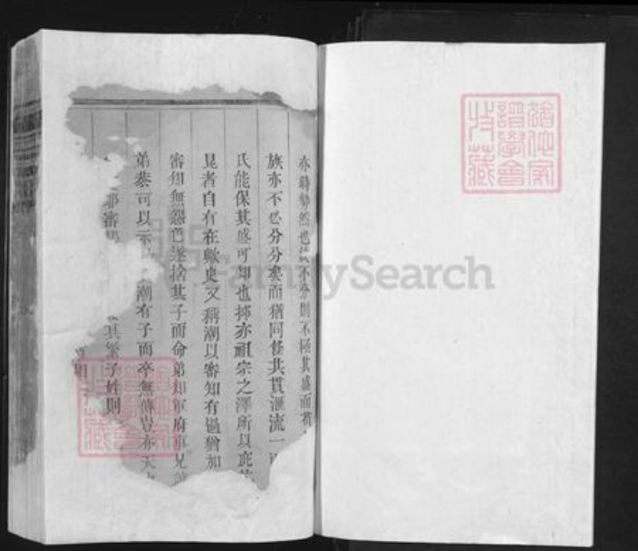 江西省上饶市余干县东塘乡王氏族谱-王氏宗谱.pdf电子版插图1 江西省上饶市余干县东塘乡王氏族谱-王氏宗谱.pdf电子版插图1