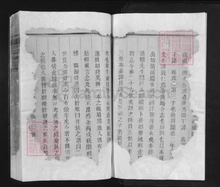 江西省上饶市余干县东塘乡王氏族谱-王氏宗谱.pdf电子版插图4 江西省上饶市余干县东塘乡王氏族谱-王氏宗谱.pdf电子版插图4