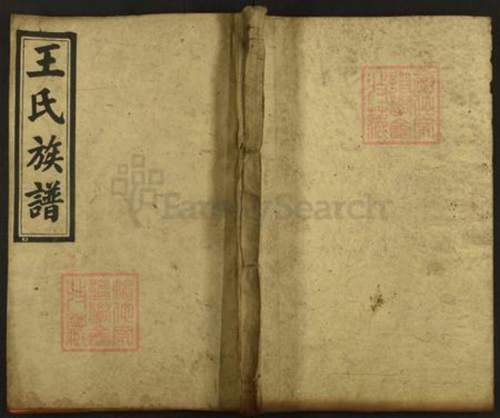 湖南省邵阳市隆回县王氏三槐堂族谱-太原王氏族谱.pdf电子版插图