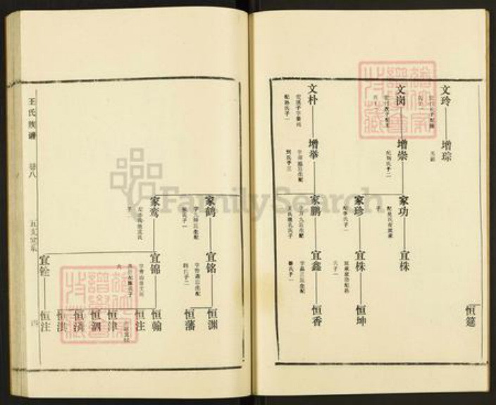 山东省枣庄市滕州市滨湖镇王氏族谱-古滕盖村王氏族谱.pdf电子版插图3 山东省枣庄市滕州市滨湖镇王氏族谱-古滕盖村王氏族谱.pdf电子版插图3