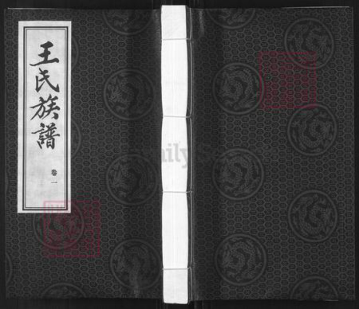 河北省邢台宁晋县凤凰镇王氏族谱-王氏族谱.pdf电子版插图