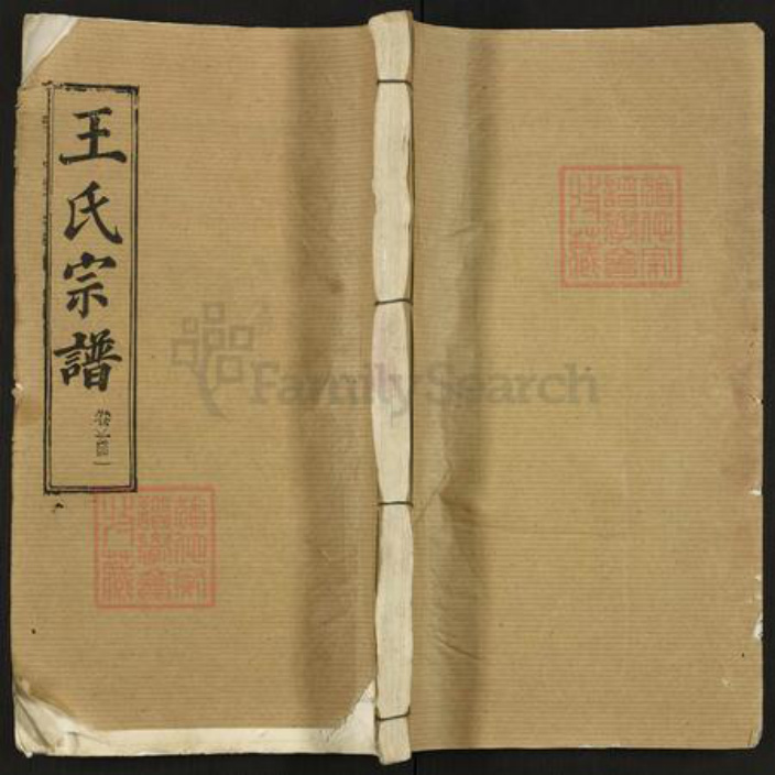 湖北省武汉市江夏区王氏三槐堂族谱-王氏宗谱.pdf电子版插图