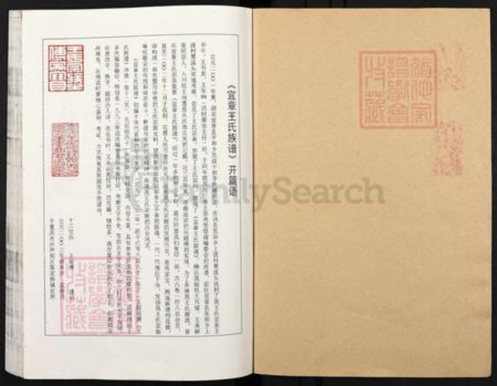 湖南省郴州市宜章县里田镇王氏族谱-宜章王氏族谱.pdf电子版插图1