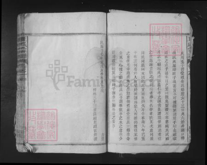 江西省九江市湖口县王氏族谱-王氏宗谱.pdf电子版插图2