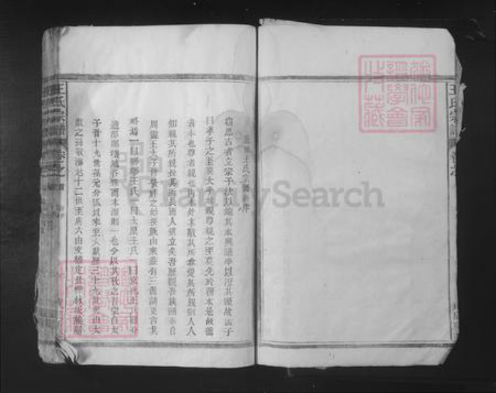 江西省九江市湖口县王氏族谱-王氏宗谱.pdf电子版插图3