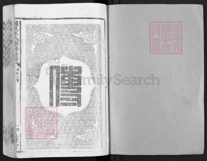 江西省赣州市王氏太原堂族谱-赣邑王氏联修族谱.pdf电子版插图1