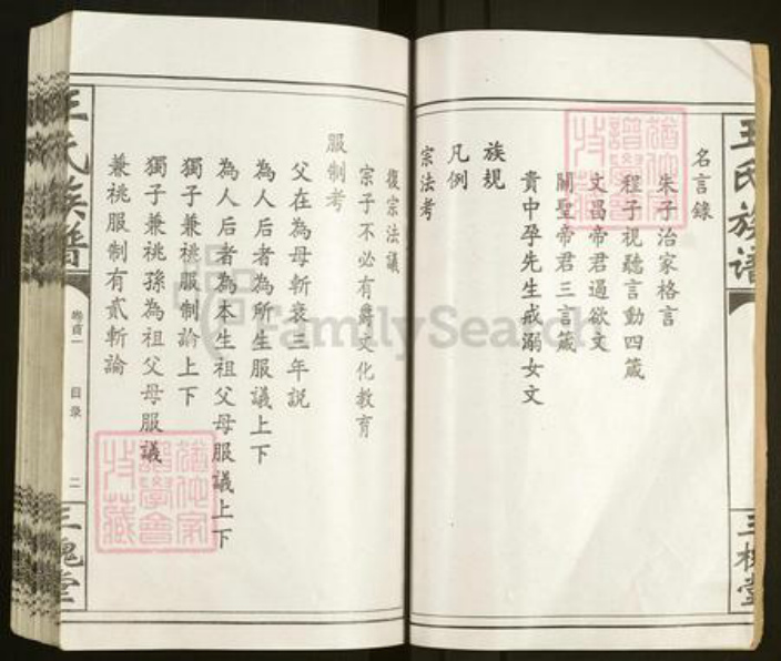 湖南省常德市汉寿县王氏三槐堂族谱-王氏族谱.pdf电子版插图3 湖南省常德市汉寿县王氏三槐堂族谱-王氏族谱.pdf电子版插图3