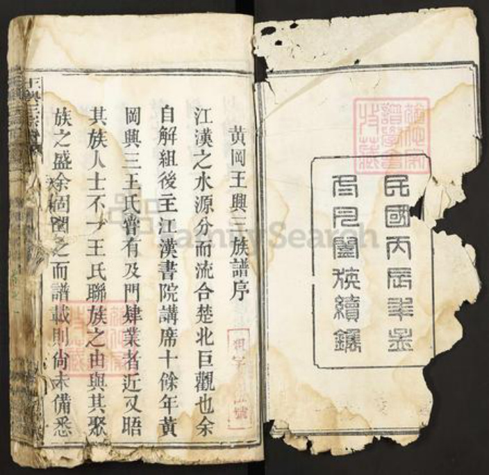 湖北省武汉市新洲区王氏光裕堂族谱-王兴三宗谱.pdf电子版插图2