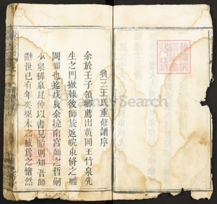 湖北省武汉市新洲区王氏光裕堂族谱-王兴三宗谱.pdf电子版插图5