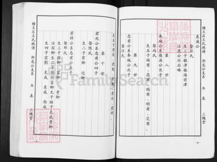 江苏省盐城市盐都区楼王镇王氏三槐堂族谱-楼王庄王氏族谱.pdf电子版插图4 江苏省盐城市盐都区楼王镇王氏三槐堂族谱-楼王庄王氏族谱.pdf电子版插图4