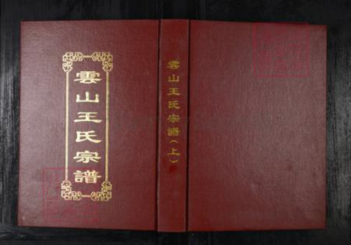 山东省青岛市平度市王氏族谱-云山王氏宗谱.pdf电子版