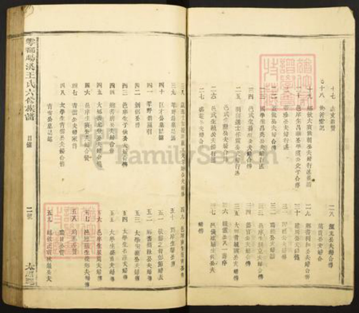 江西省赣州市于都县王氏族谱-雩都旸溪王氏六修族谱.pdf电子版插图2