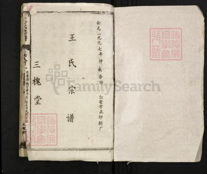 湖北省黄冈市红安县王氏三槐堂族谱-王氏宗谱.pdf电子版插图1