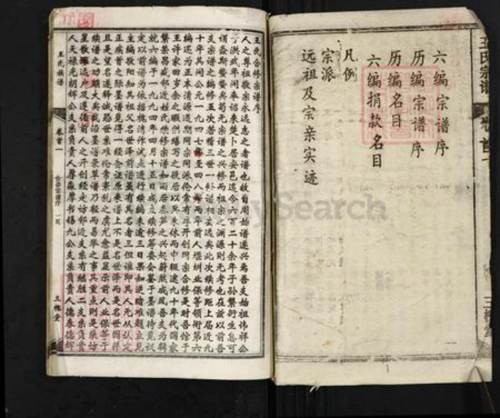 湖北省黄冈市红安县王氏三槐堂族谱-王氏宗谱.pdf电子版插图2