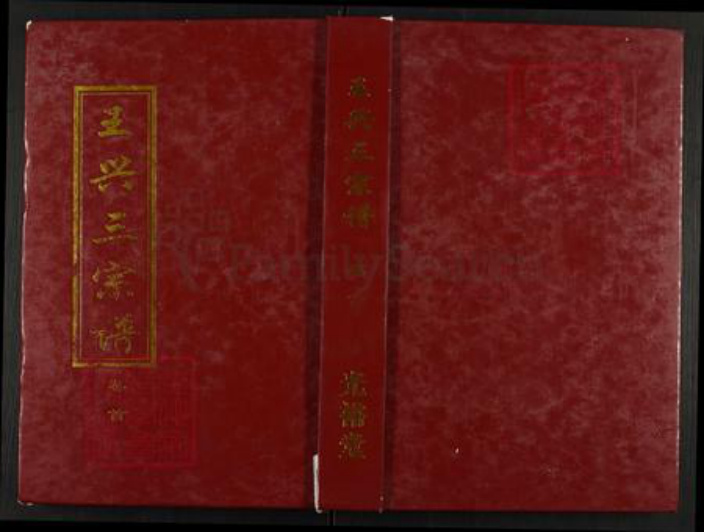 湖北省武汉市新洲区王氏光裕堂族谱-王兴三宗谱.pdf电子版插图