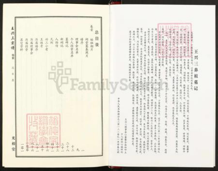 湖北省武汉市新洲区王氏光裕堂族谱-王兴三宗谱.pdf电子版插图4