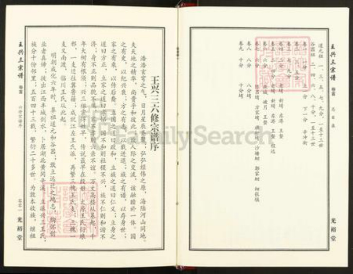 湖北省武汉市新洲区王氏光裕堂族谱-王兴三宗谱.pdf电子版插图5
