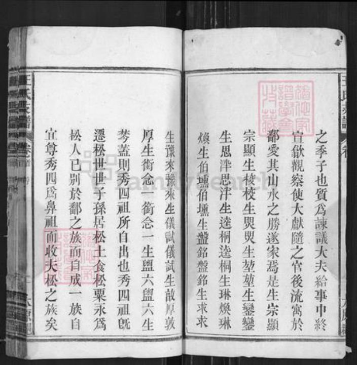 安徽省安庆市宿松县王氏同德堂族谱-王氏支谱.pdf电子版插图2