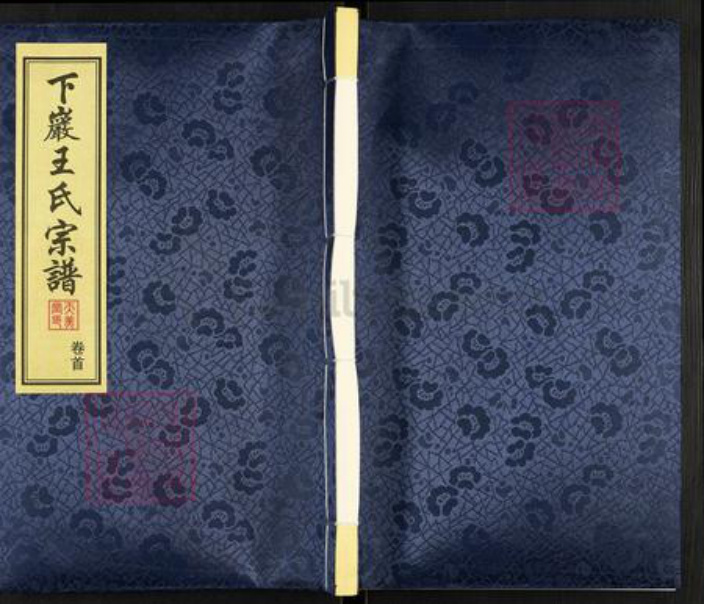 江苏省常州市武进县王氏天美堂族谱-下巌王氏宗谱.pdf电子版