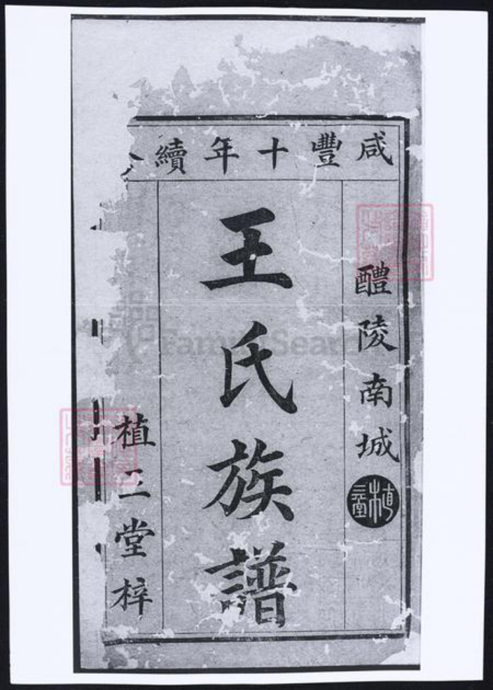 湖南省株洲市醴陵市醴陵王氏族谱-醴陵南城王氏续修族谱.pdf电子版插图2