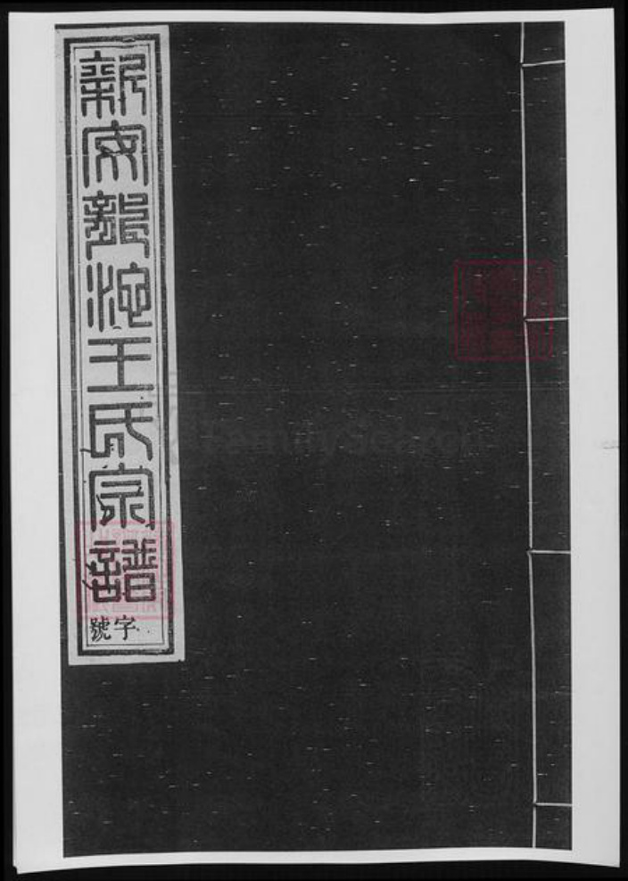 河南省洛阳市王氏族谱-新安龙池王氏宗谱.pdf电子版插图 河南省洛阳市王氏族谱-新安龙池王氏宗谱.pdf电子版插图