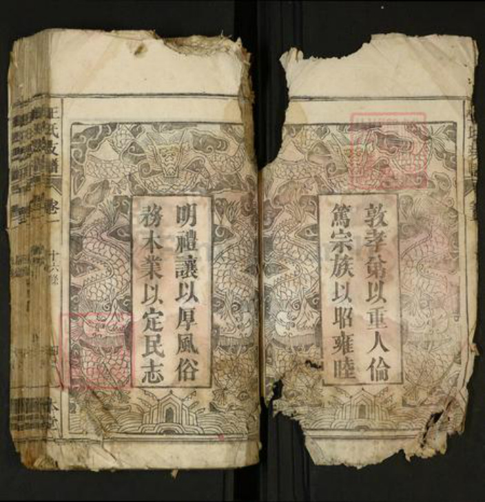 安徽省六安市舒城县王氏族谱-王氏支谱.pdf电子版插图2