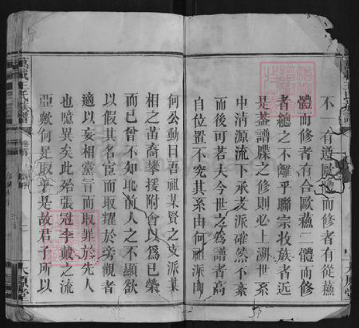 江西省宜春市万载县王氏族谱-万载王氏族谱[9卷首1卷].pdf电子版插图2