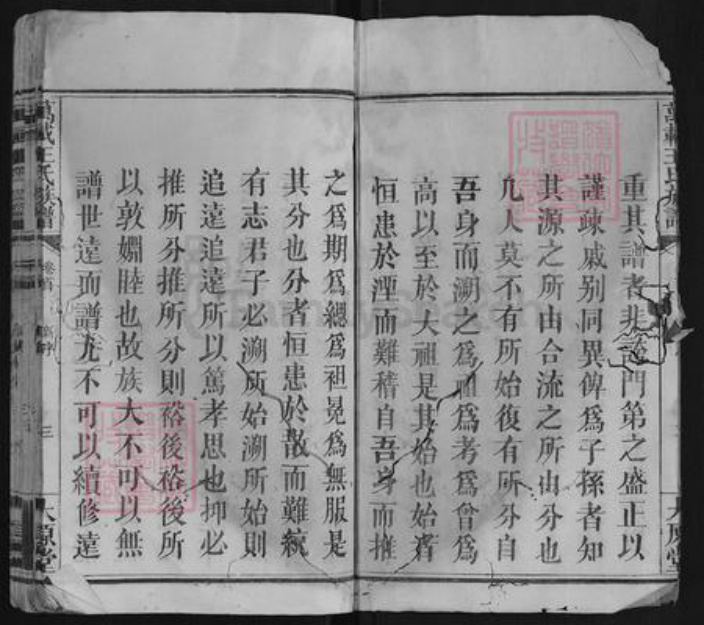 江西省宜春市万载县王氏族谱-万载王氏族谱[9卷首1卷].pdf电子版插图3