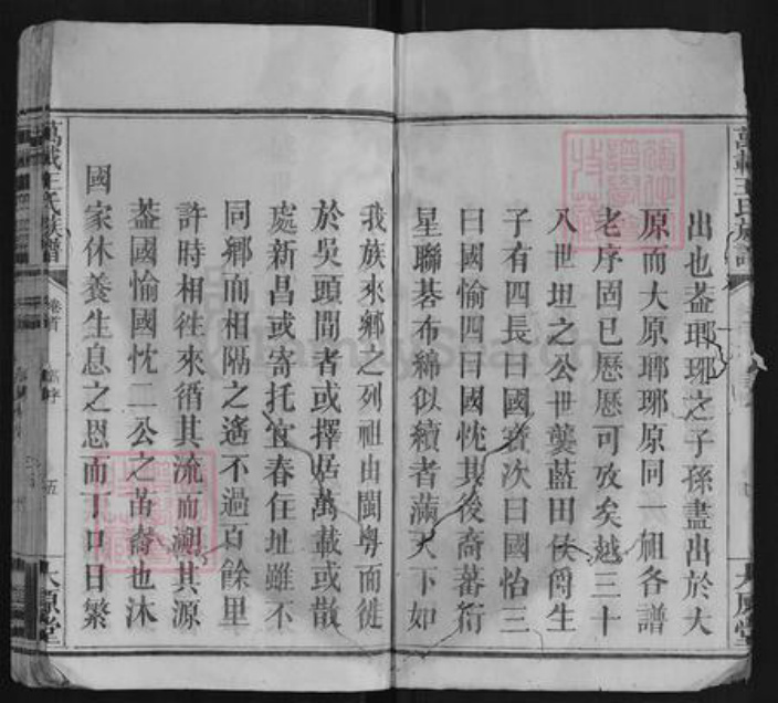 江西省宜春市万载县王氏族谱-万载王氏族谱[9卷首1卷].pdf电子版插图5