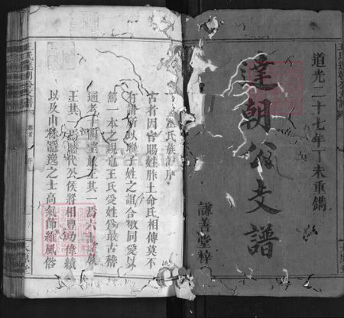 湖南省长沙市浏阳市浏阳王氏族谱-王氏达朝公支谱[7卷首1卷].pdf电子版插图1