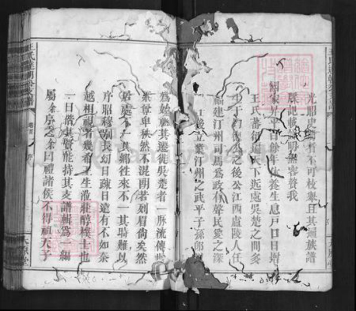 湖南省长沙市浏阳市浏阳王氏族谱-王氏达朝公支谱[7卷首1卷].pdf电子版插图2