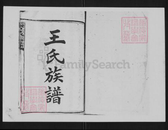 湖南省湘潭市湘乡市湘乡王氏族谱-梽木双江王氏三修族谱[65卷首末各1卷].pdf电子版插图1
