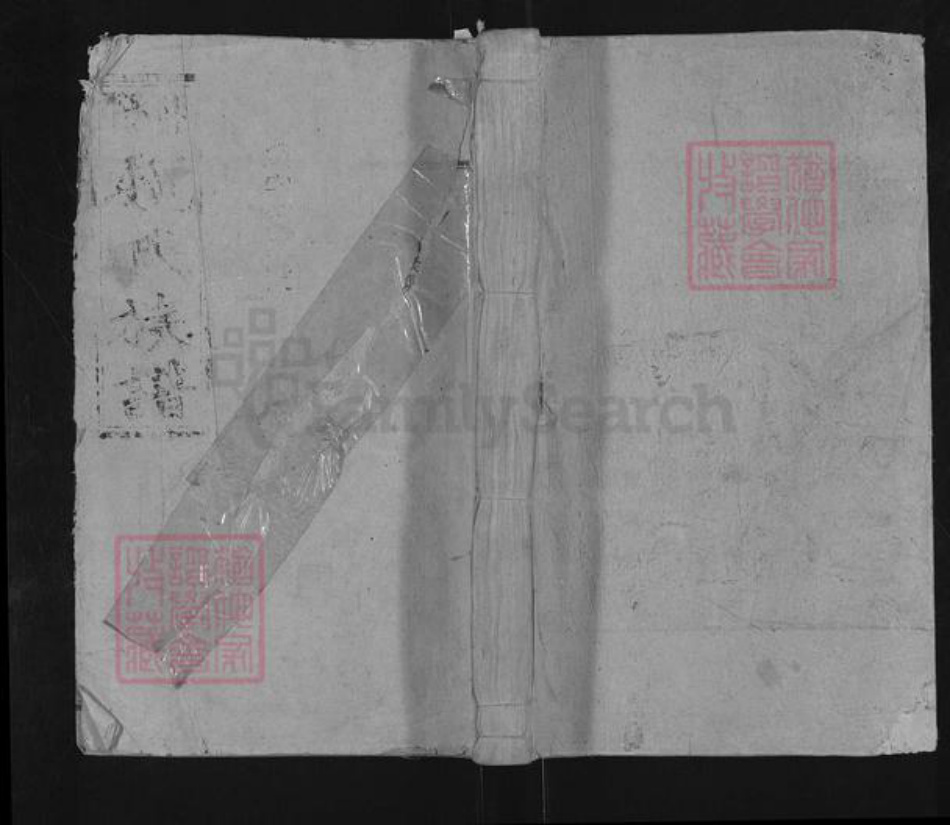 湖南省邵阳市隆回县魏氏大名堂族谱-邵阳魏氏族谱.pdf电子版插图