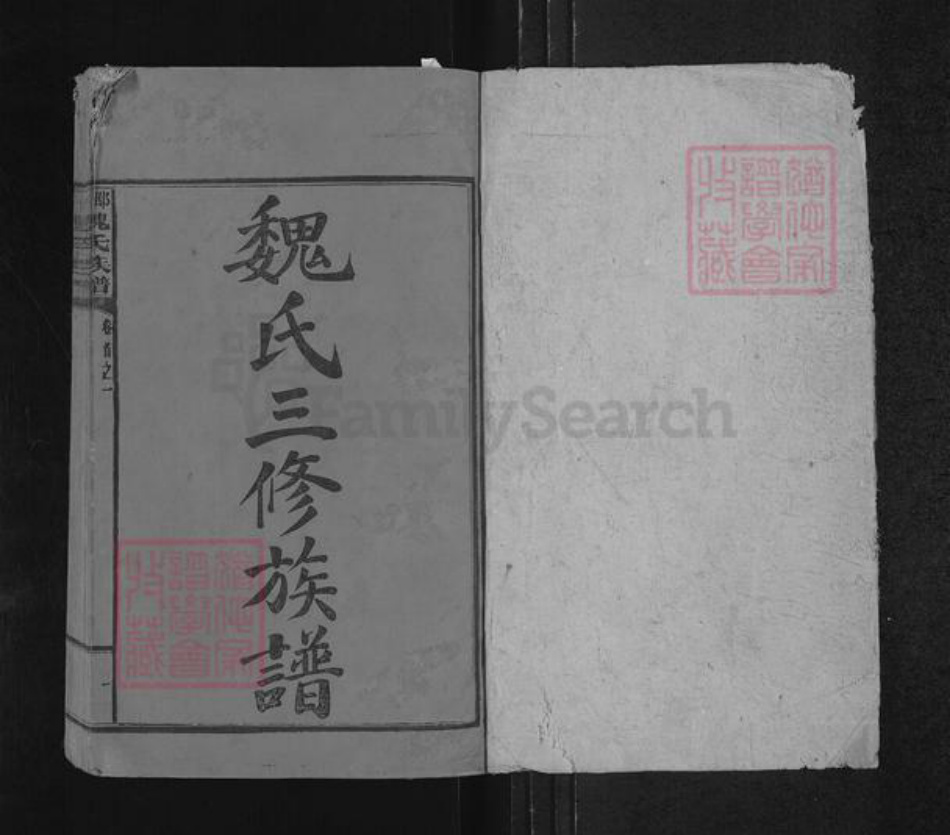湖南省邵阳市隆回县魏氏大名堂族谱-邵阳魏氏族谱.pdf电子版插图1