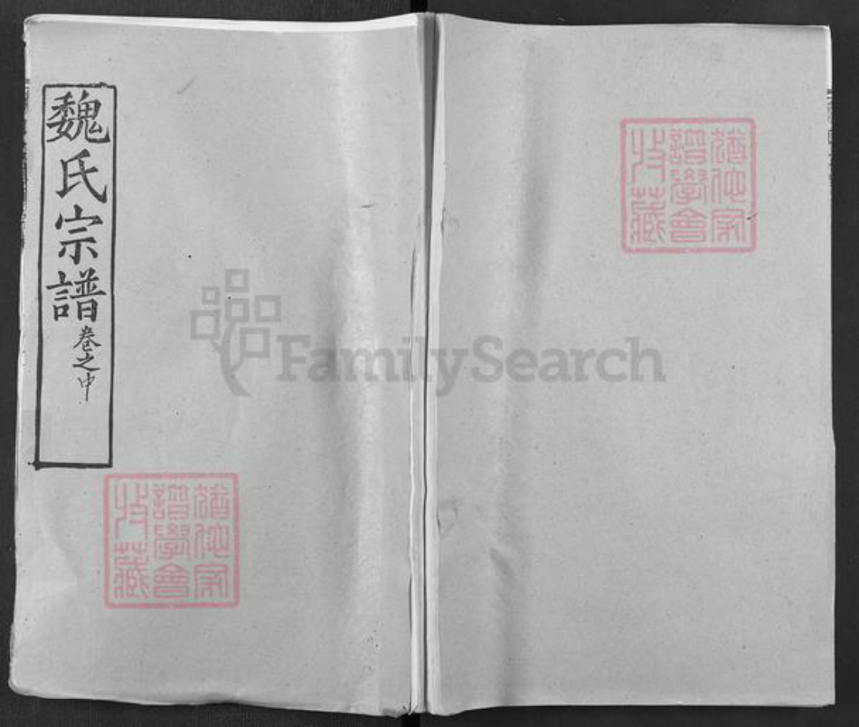 湖北省武汉市新洲区凤凰镇魏氏大名堂族谱-魏氏宗谱.pdf电子版插图
