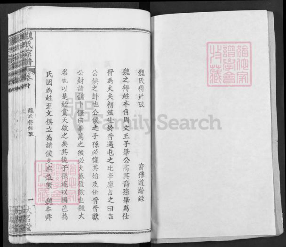 湖北省武汉市新洲区凤凰镇魏氏大名堂族谱-魏氏宗谱.pdf电子版插图1