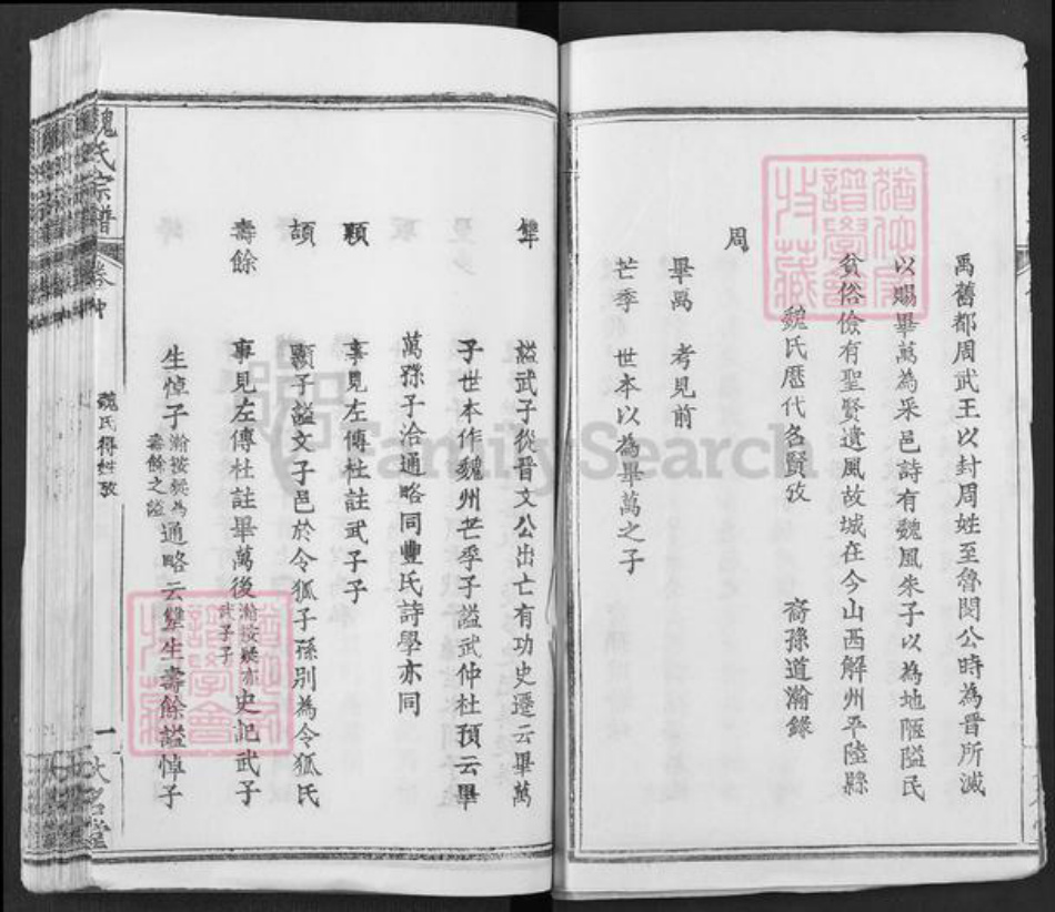 湖北省武汉市新洲区凤凰镇魏氏大名堂族谱-魏氏宗谱.pdf电子版插图2