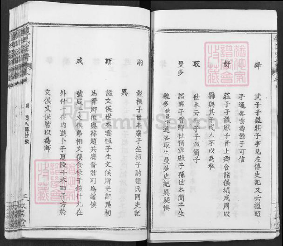 湖北省武汉市新洲区凤凰镇魏氏大名堂族谱-魏氏宗谱.pdf电子版插图3
