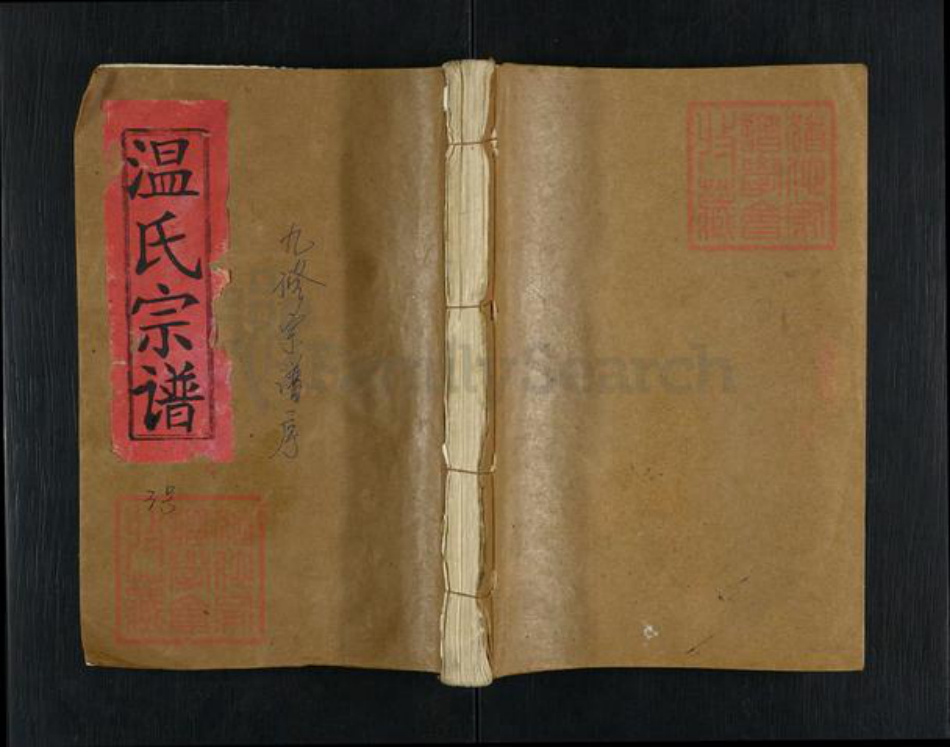 江西省九江市武宁县温氏忠孝堂族谱-温氏宗谱.pdf电子版插图
