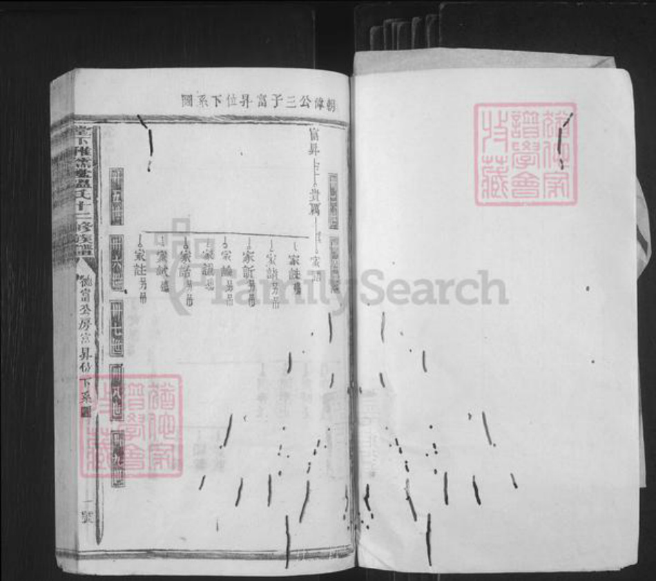 江西省赣州市石城县高田镇温氏雅儒堂族谱-堂下雅儒堂温氏十二修族谱.pdf电子版插图1