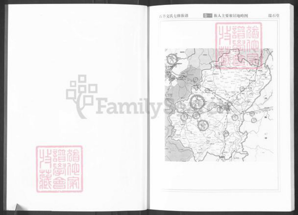 湖南省株洲市醴陵市左权镇文氏族谱-湖南醴陵石羊文氏族谱.pdf电子版插图3