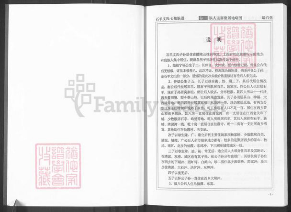 湖南省株洲市醴陵市左权镇文氏族谱-湖南醴陵石羊文氏族谱.pdf电子版插图4