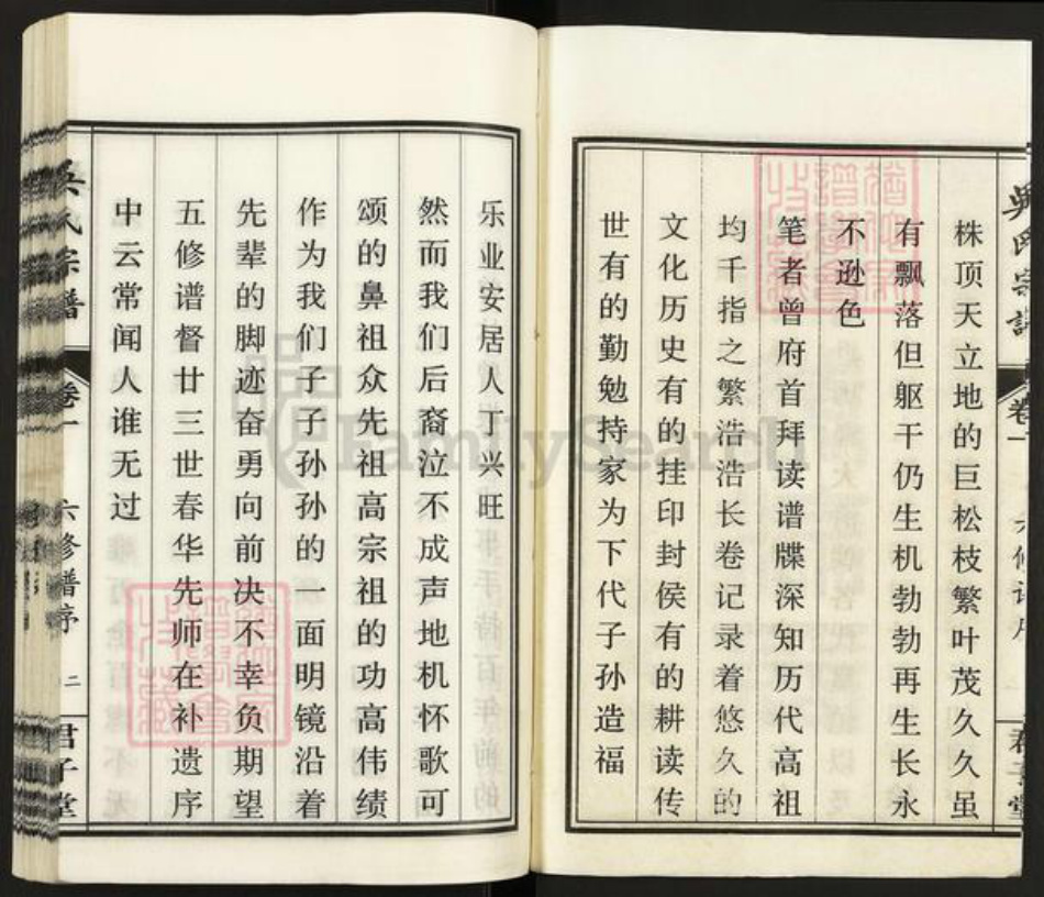 安徽省安庆市桐城市吴氏君子堂族谱-吴氏宗谱.pdf电子版插图2