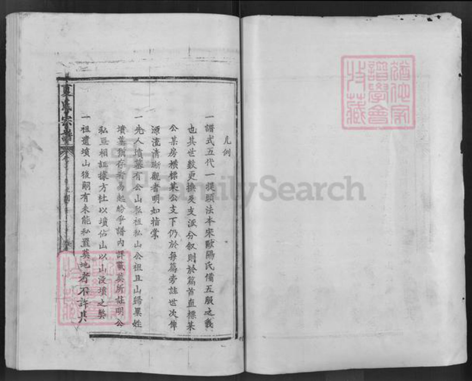 湖北省咸宁市通山县通羊镇夏氏敦本堂族谱-夏氏宗谱.pdf电子版插图1