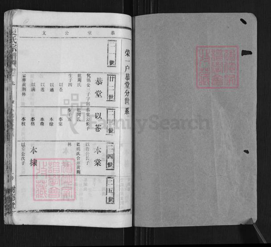 湖北省黄冈市武穴市梅川镇夏氏树德堂族谱-夏氏宗谱.pdf电子版插图1