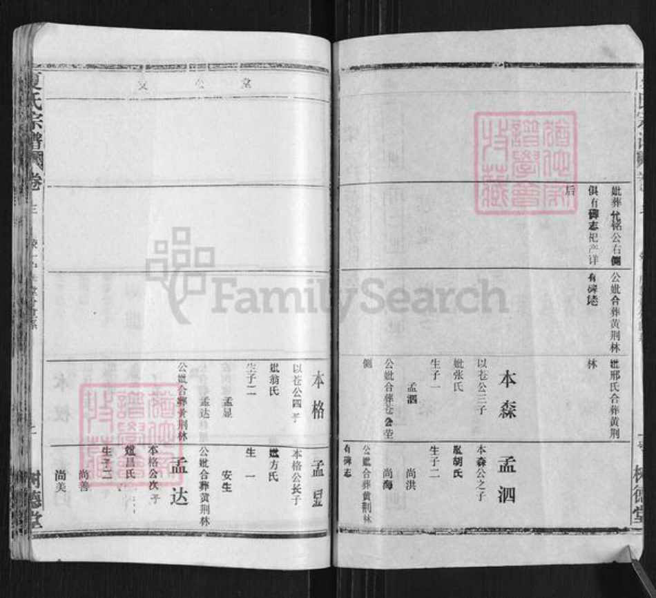 湖北省黄冈市武穴市梅川镇夏氏树德堂族谱-夏氏宗谱.pdf电子版插图2