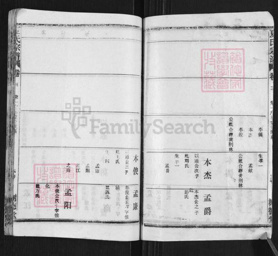 湖北省黄冈市武穴市梅川镇夏氏树德堂族谱-夏氏宗谱.pdf电子版插图4